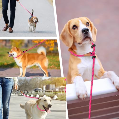 lynxking Dog Leash1/2in x 6ft Slip Lead Reflective Pink and red, 2 Pack