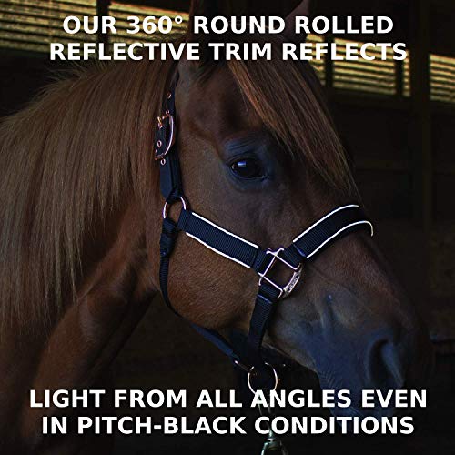 Derby Originals Rose Gold Stable & Breakaway Reflective Safety Horse Halters with Matching Lead & One Year Warranty