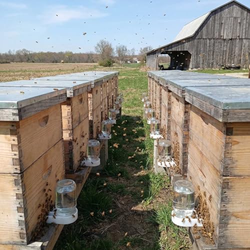 Bee Hive Feeder, White Entrance Feeder with Aluminum Lid, 4-Pack