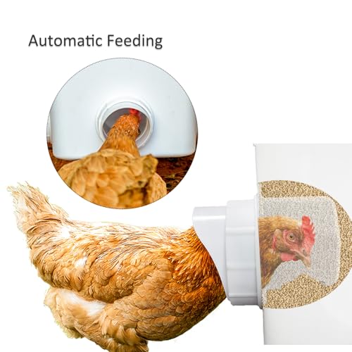 Automatic Chicken Feeder Set Hanging Chicken Feeder No Waste Poultry Feeder Kit 20lb Chicken Feed Container - color: white
