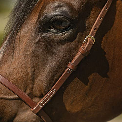 Billy Royal Oiled Royal Herman Oak Flat Nose Caveson for Horses | Hand Selected Herman Oak Hides | Adjustable Comfort Fit | Effective Training Tool | Oiled for Maximum Penetration | Made in the USA