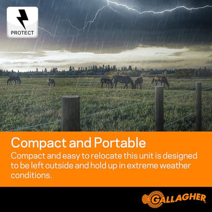 Gallagher B60 Battery Fence Energizer | 0.6 Joule Portable Electric Fence Charger for Livestock & Temporary Fencing | 12V Battery Powered | Powers Up to 15 Miles