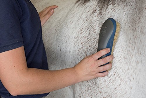 Oster Equine Care Series Finishing Brush, Soft Bristle, Natural Hog Hair, Blue - color: Blue, size: One