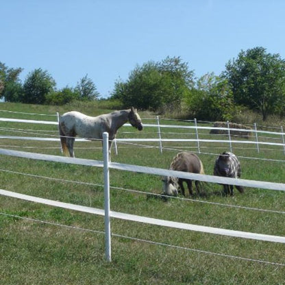 FarmTek Fence Strapping Batten Tape (White, 4" W x 150'L) - color: White, size: 4"W x 150'L