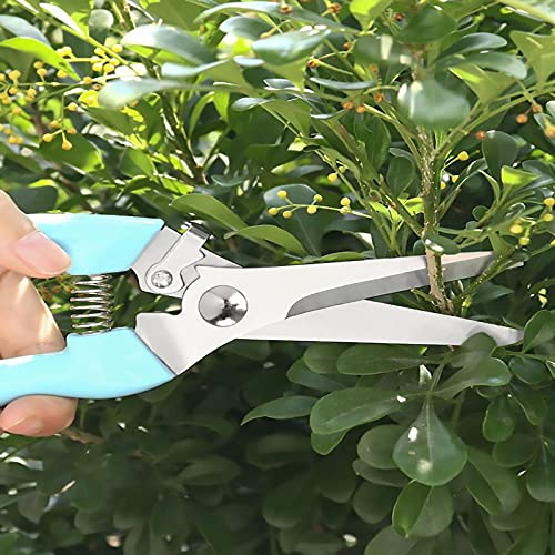 Premium Garden Shears, Pruning Scissors Gardening Tools, Pruners For Flower, Bushes, Rose And Fruit Tree, Use For Florist, Yard And Orchard the Plant Clippers, Sharp White Steel Anvil Snips - style: Blue