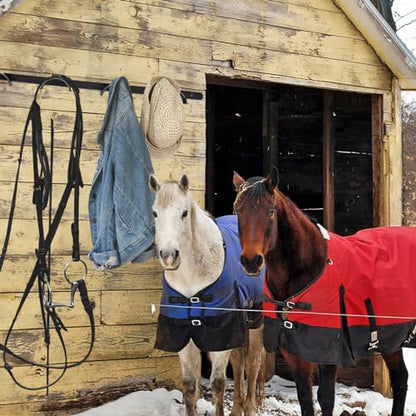 Aliceset 2 Pcs Horse Bridle Rack Wall Mount Metal 5 Spot Bridle Rack Horse Tack Organizer Rounded Tack Hook Space Saving Storage for Barn Room Halter Headstall Supplies Black