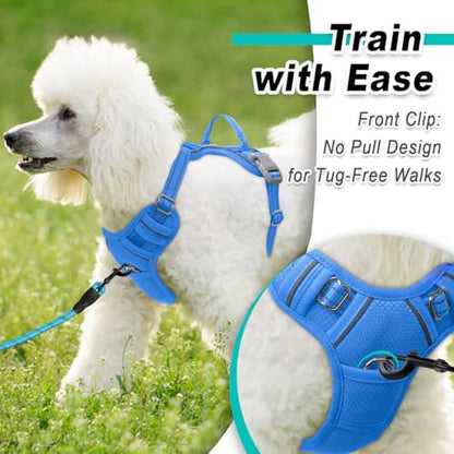BARKBAY Dog Harness for Small Sized Dog No Pull Mesh 2 Clips Dog Vest - color: Blue-Mesh, size: X-Small