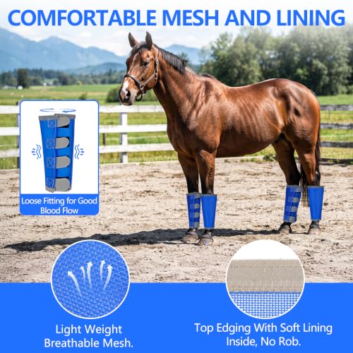 Fly Boots for Horses Set of 4 with Reflective Vercros, Loose Fitting Mesh Horse Fly Boots Leggings, Adjustable Equine Leg Wraps & Socks, Stay Up Not Sag, No Rub - color: Blue