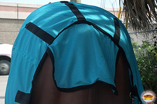 HILASON Horse Fly Sheet UV Protect Mesh 66 in Turquoise - color: Turquoise with black piping, size: 66 In