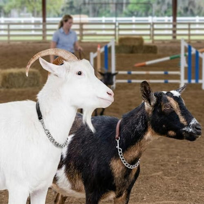 Misdary 2 Pcs Goat Show Collars Adjustable 14" Chain, 14'', Black, Brown - color: Black, Brown
