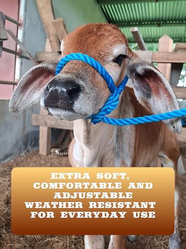 Villanos Arts - Poly Rope Cattle Halter for Cow and Calf, for Daily Use, Weather Resistant, Handling Equipment for Showing, 13 Ft Long x 12mm Thickness.
