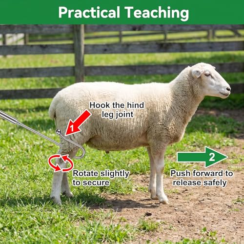 Goat Sheep Catcher Hook, Adjustable 44–75 Inch 5-Section 304 Stainless Steel Sheep Leg Hook with Rounded Ball Tip for Milking, Shearing, Hoof Trimming and Health Checks