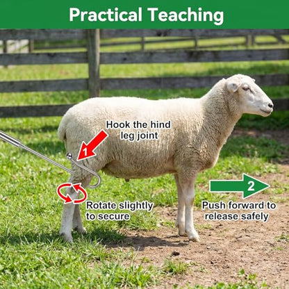 Goat Sheep Catcher Hook, Adjustable 44–75 Inch 5-Section 304 Stainless Steel Sheep Leg Hook with Rounded Ball Tip for Milking, Shearing, Hoof Trimming and Health Checks