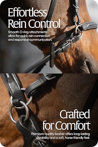 Equinavia Saga Leather Horse English Bridle, Stainless Steel Hardware Reins - color: Black, size: Warmblood