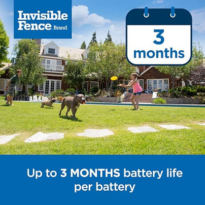 Invisible Fence Brand Power Cap Battery, 1-Pack - style: 1 Pack