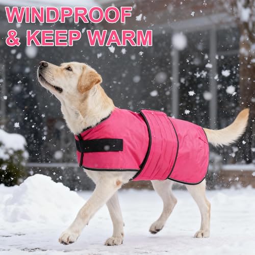 BEAUTYZOO Dog Winter Coat for X-Large Dogs, Waterproof Canvas Jackets - color: Rose Pink, size: XL(Chest Girth 34"-45", Back 24", Neck 24"-29")