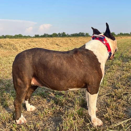 ADITYNA Heavy Duty Dog Collar for Medium Dogs with Traffic Handle - color: Camo Red Blue, size: Medium: Fit 15-19" Neck