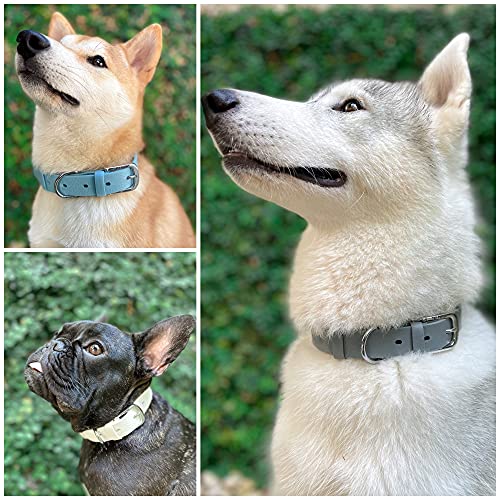 Tuff Pupper Heavy Duty Waterproof Dog Collar for Small, Medium & Large Dogs - color: Cool Gray
