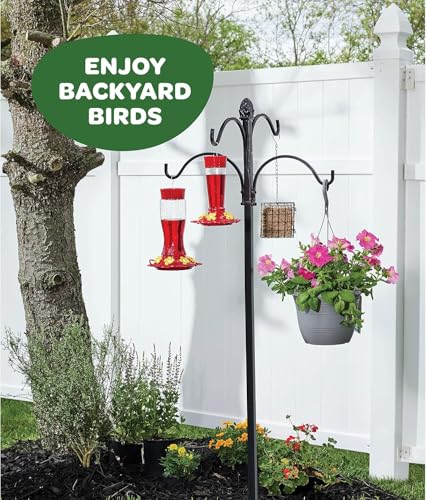 20 oz Red Glass Hummingbird Feeder [2 Pack] with Built-in Ant Guard - size: 20 oz - 2 Pack