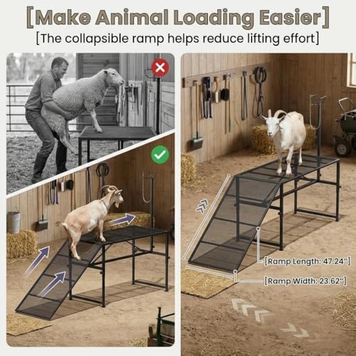 Heavy Duty Goat Stand with Ramp, Sheep Shearing Stand for Farms Barns Grooming Areas, Adjustable Goat Milking Stand with Ramp for Daily Animal Care