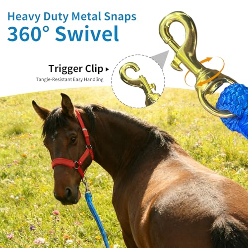 Double Braided Nylon Horse Lead Rope with Snap Hook, Black, 10 FT, Durable Light Weight (Blue, 10FT) - color: Blue, size: 10FT