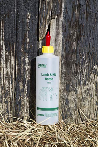 Neogen Ideal 7004 Lamb & Kid Bottle 16oz w/Red Screw-On Teat