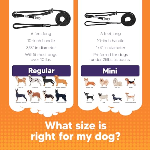 Heather's Heroes The Sidekick No-Pull Leash Black - color: Black, size: Mini (1/4")