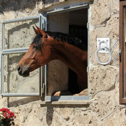 Tie Ring for Horses, Heavy Duty Hitching Rings with 4 Screws, Wall Mounted Horse Stable Supplies for Horse Barn