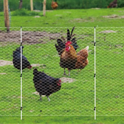 72inch/6ft Fiberglass Electric Fence Posts with Double Spikes for Animals, Garden Protection, etc. - 36 Posts Come with 180 Clips - size: 72" x 36 (180 Clips)