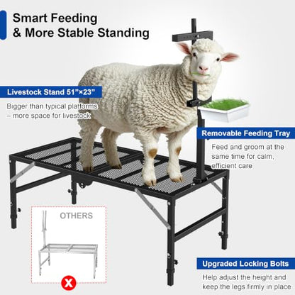 Foldable Goat Miliking Stand - 51x23 inch Metal Livestock Stand with Removable Feeding Tray, 500lbs Capacity Goat Sheep Stand for Trimming Shearing Milking Hoof with Adjustable Headpiece and Height