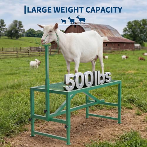 Garvee Goat Stand with Headpiece and Nose Loop – Milking Shearing Stand - color: Green-47 Inch (with Nose Loop)