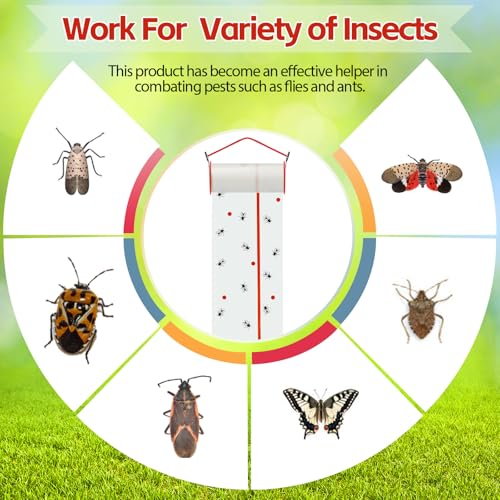 15 Rolls Sticky Fly Trap 30 ft Each, White - color: White