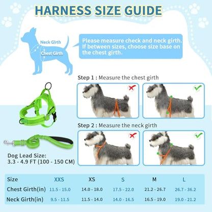 SlowTon No Pull Small Dog Harness and Leash Set with Front Clip | Soft Padded, Neck & Chest Adjustable, Lightweight, Anti-Twist, Puppy Vest Harness Pet Lead Combo for Small Medium Dog, G S - color: Green, size: Small