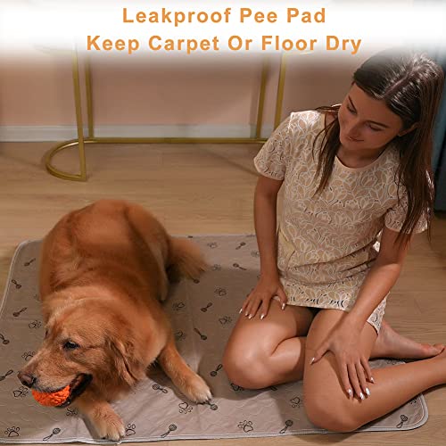 Peepeego 2Pack 36"x36" Pee Pads Washable Waterproof Rugs for Dog Training - size: 2Pack 36x36