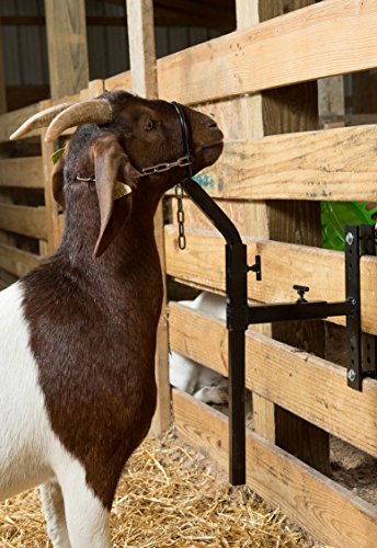 Steele Gate Attachment, Steele Head Piece for Sheep, Steele Head Piece for Goats, Steele Head Piece for Livestock, Nose Loop Headpiece