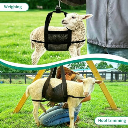 Calf Sling for Weighing Animals Adjustable Straps Goat Sling Assist Weight Scale for Baby Calf, Lamb, Alpaca, Pig, Dog (Black-CZD)