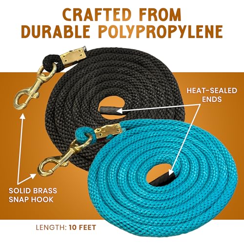 Prairie Horse Supply 10ft Poly Lead Rope With Brass Snap Link, Black - Heavy Duty Polypropylene, Soft Training Lead for Horses - Ideal for Equestrian Use