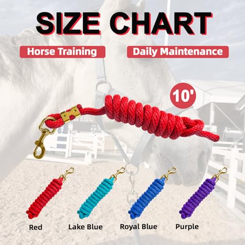 5/8" x 8' Nylon Horse Lead Rope with Cast Iron Hardware(Red) - color: Red