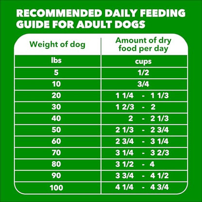 IAMS Proactive Health 성인용 Minichunks 건식 개 사료, 닭고기, 17.5kg(37파운드) - size: 38.5 Pound (Pack of 1)