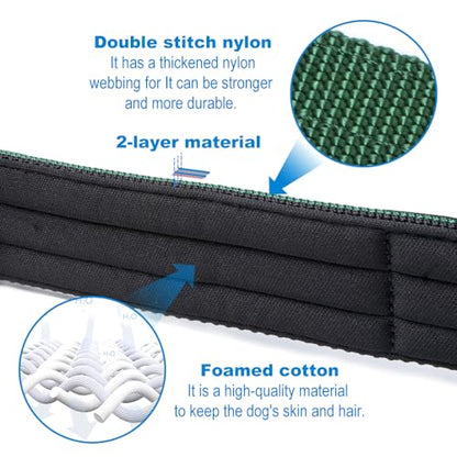 TSPRO Heavy Duty Thick Dog Collar with Metal Buckle for Small Dogs - color: Basic Silver, size: S – Fits Neck 12.6"-15.8"
