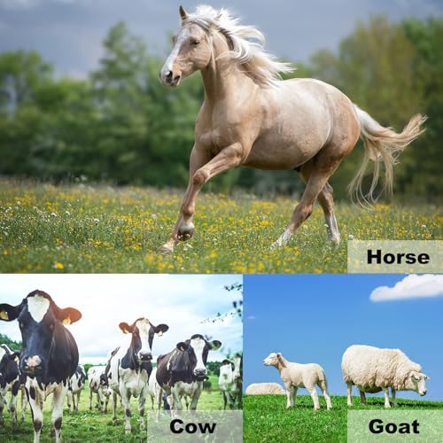 11pcs Farrier Tools Farrier kit Horse shoeing Tools Farrier Supplies Farrier Tools for Horses Cattle Sheep and Donkeys
