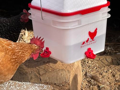 RentACoop LG Thermo Bucket Belt and 2 Gal Center Bucket Waterer