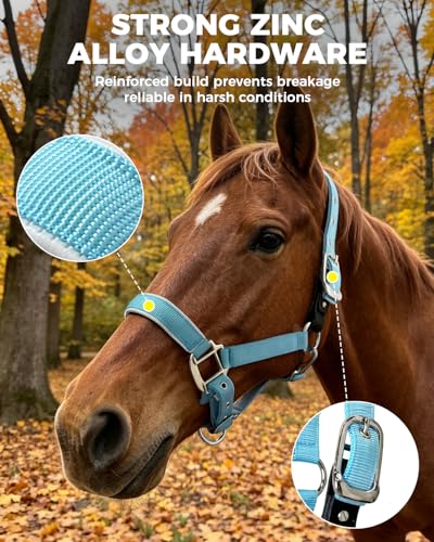 Hilltown Breakaway Halters for Horses with Leather Fuse | Adjustable Fit, Soft Rubber Padding, Quick Release Snap, and Easy Clean Webbing for Training and Stable Use - size: X-Full