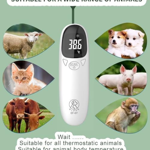 Pet Thermometer for Dogs, Cats, and Livestock, Fast Digital Veterinary Thermometer with Long Probe, Comfortable Flexible Tip, Waterproof Design (White)