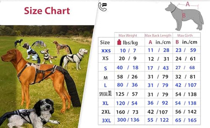 Tail Guard & Harness Set - Veterinary Dog Tail Protector & Injury Wrap, Size Large - size: L