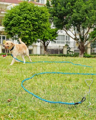Joytale Long Dog Leash for Yard Tie Out & Recall Training, Blue, 15FT - color: Blue, size: 15FT