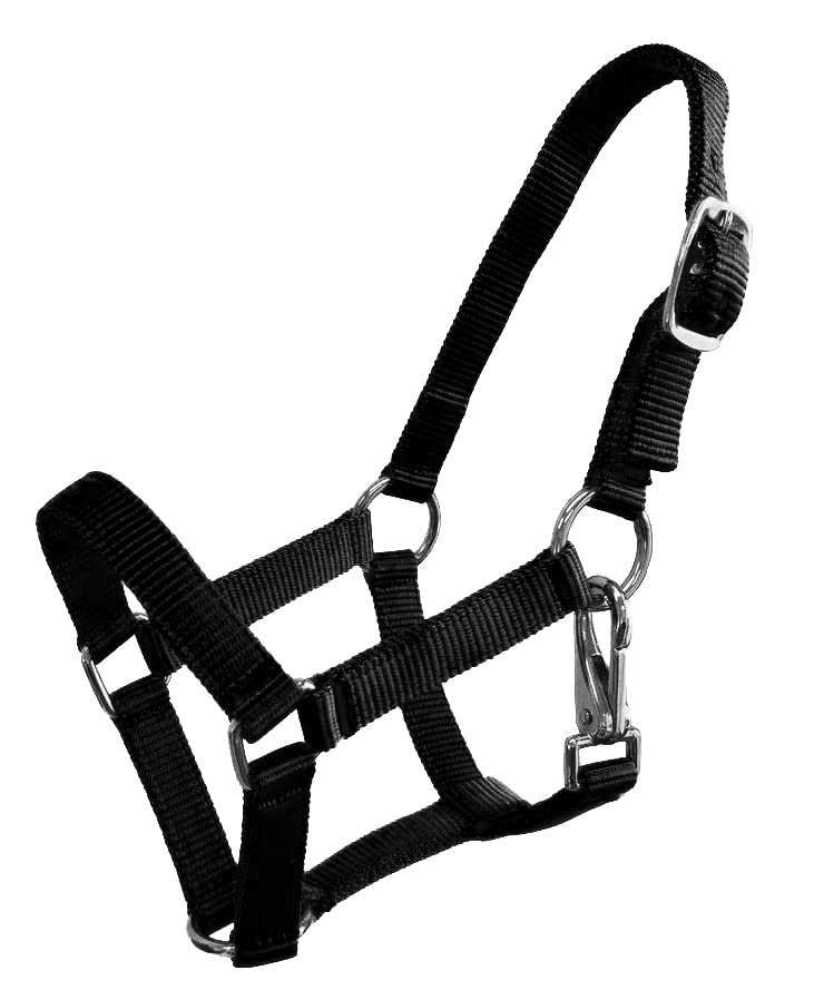 Nylon Foal Halter - color: Black
