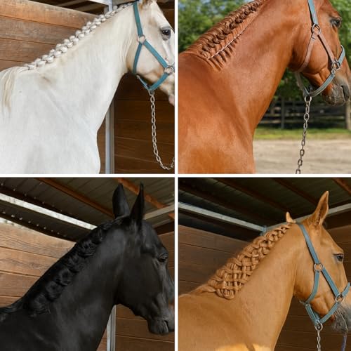 9 Pcs Horse Braiding Kit Complete Mane Horse Grooming Set with Waxed Canvas Bag Easy Start Supplies for Braiding Beginners Father's Birthday Gifts(Hunter Green) - color: Hunter Green
