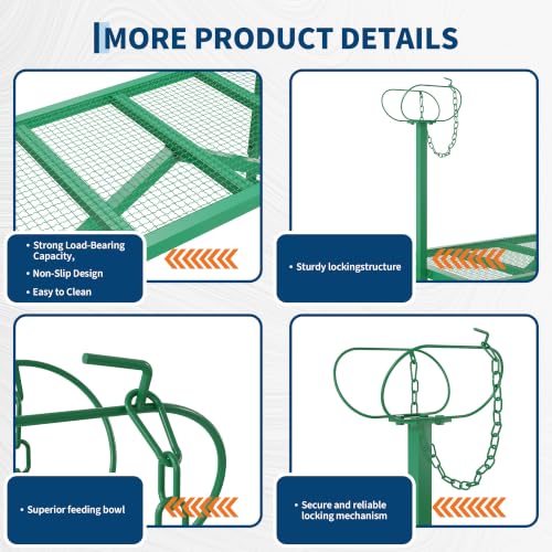 Garvee Goat Stand with Headpiece and Nose Loop – Milking Shearing Stand - color: Green-47 Inch (with Nose Loop)