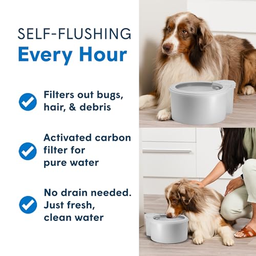 9" Self-Refilling Dog Water Bowl with Wall Unit - size: 9" Bowl, style: Wall Unit